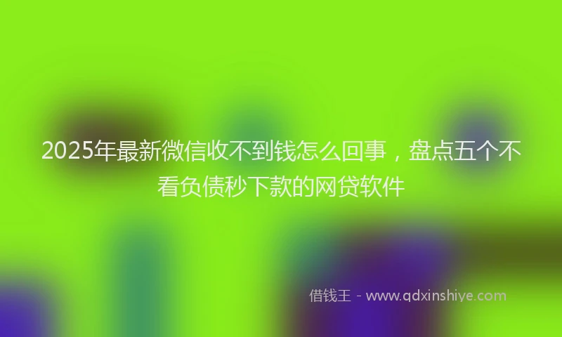 2025年最新微信收不到钱怎么回事，盘点五个不看负债秒下款的网贷软件