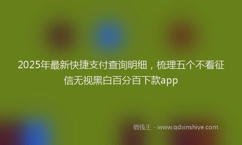 2025年最新快捷支付查询明细，梳理五个不看征信无视黑白百分百下款app