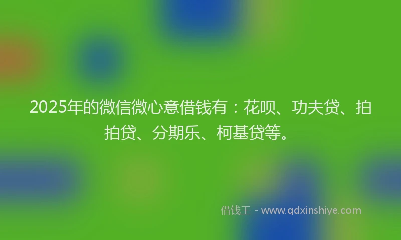 2025年的微信微心意借钱有：花呗、功夫贷、拍拍贷、分期乐、柯基贷等。
