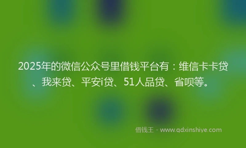 2025年的微信公众号里借钱平台有：维信卡卡贷、我来贷、平安i贷、51人品贷、省呗等。