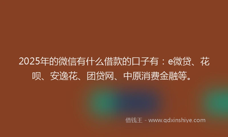 2025年的微信有什么借款的口子有：e微贷、花呗、安逸花、团贷网、中原消费金融等。