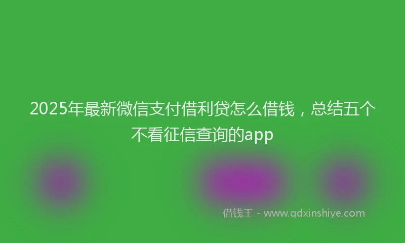 2025年最新微信支付借利贷怎么借钱，总结五个不看征信查询的app