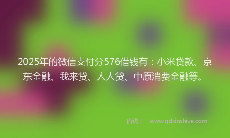 2025年的微信支付分576借钱有：小米贷款、京东金融、我来贷、人人贷、中原消费金融等。