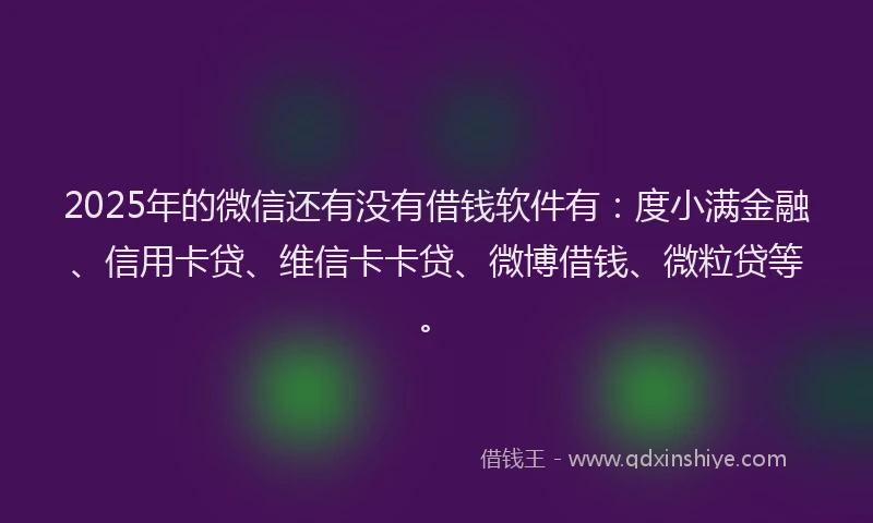 2025年的微信还有没有借钱软件有：度小满金融、信用卡贷、维信卡卡贷、微博借钱、微粒贷等。
