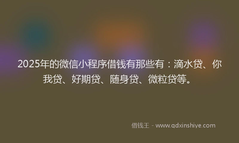 2025年的微信小程序借钱有那些有：滴水贷、你我贷、好期贷、随身贷、微粒贷等。