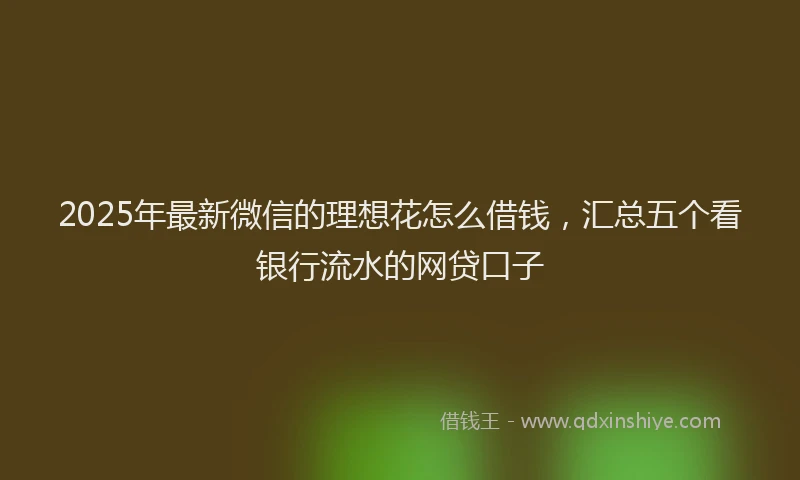 2025年最新微信的理想花怎么借钱，汇总五个看银行流水的网贷口子
