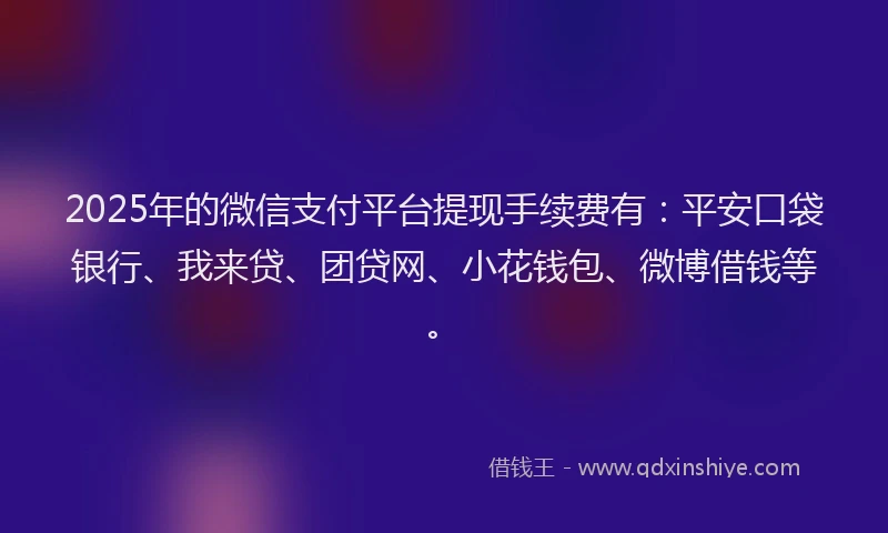 2025年的微信支付平台提现手续费有：平安口袋银行、我来贷、团贷网、小花钱包、微博借钱等。