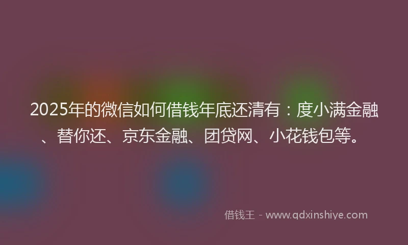 2025年的微信如何借钱年底还清有：度小满金融、替你还、京东金融、团贷网、小花钱包等。