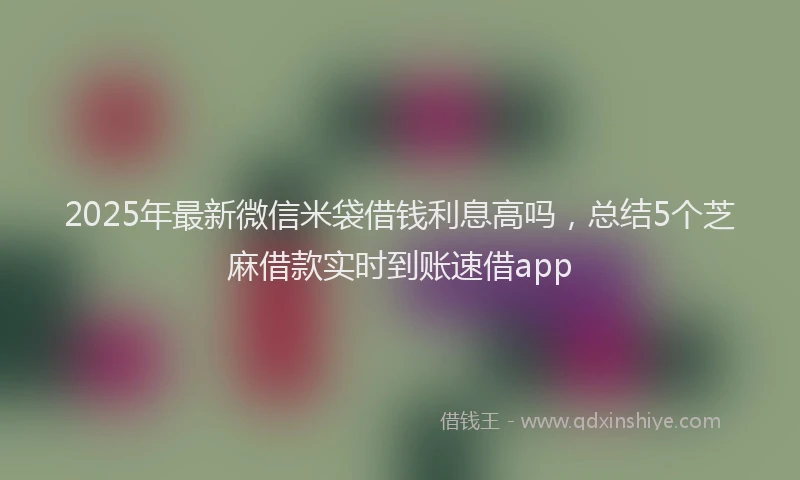 2025年最新微信米袋借钱利息高吗，总结5个芝麻借款实时到账速借app