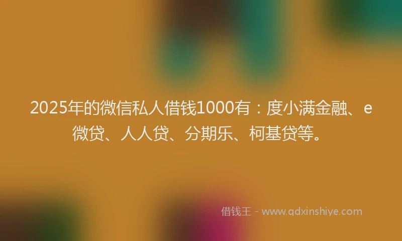 2025年的微信私人借钱1000有：度小满金融、e微贷、人人贷、分期乐、柯基贷等。