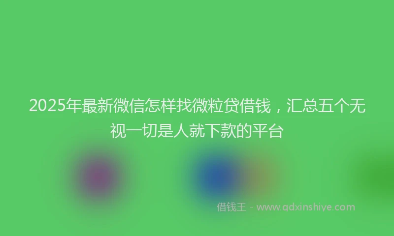 2025年最新微信怎样找微粒贷借钱，汇总五个无视一切是人就下款的平台