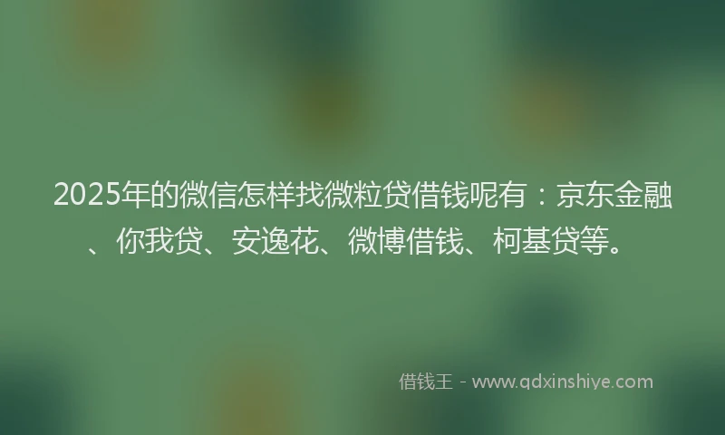 2025年的微信怎样找微粒贷借钱呢有：京东金融、你我贷、安逸花、微博借钱、柯基贷等。