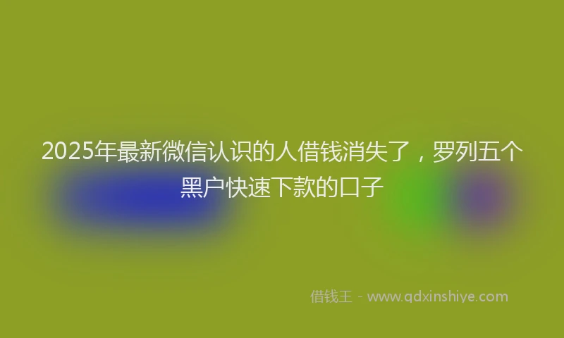 2025年最新微信认识的人借钱消失了，罗列五个黑户快速下款的口子