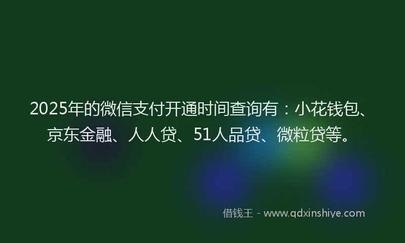 2025年的微信支付开通时间查询有：小花钱包、京东金融、人人贷、51人品贷、微粒贷等。