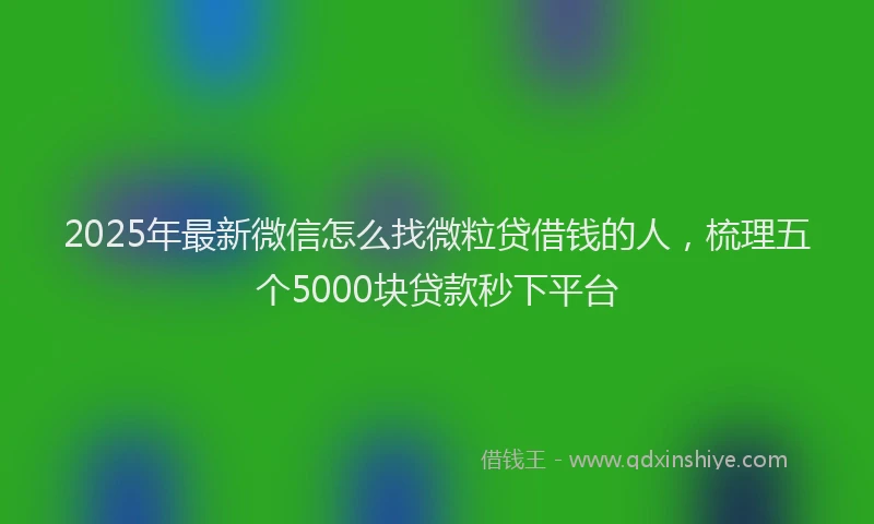 2025年最新微信怎么找微粒贷借钱的人，梳理五个5000块贷款秒下平台