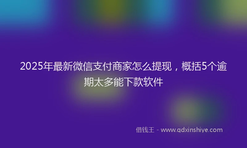 2025年最新微信支付商家怎么提现，概括5个逾期太多能下款软件