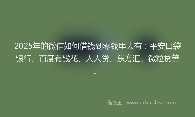 2025年的微信如何借钱到零钱里去有：平安口袋银行、百度有钱花、人人贷、东方汇、微粒贷等。