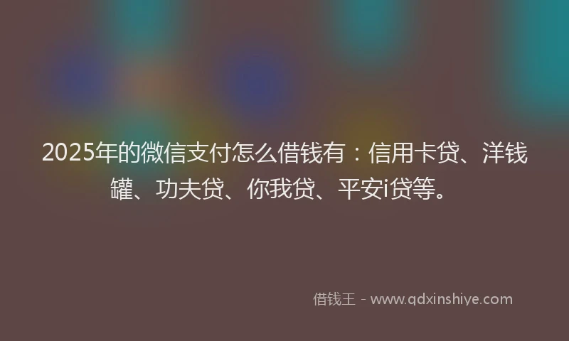 2025年的微信支付怎么借钱有：信用卡贷、洋钱罐、功夫贷、你我贷、平安i贷等。