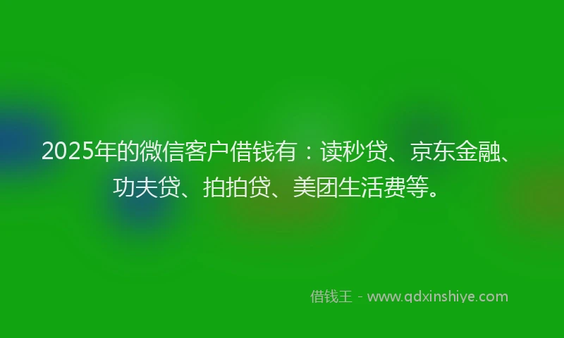 2025年的微信客户借钱有：读秒贷、京东金融、功夫贷、拍拍贷、美团生活费等。