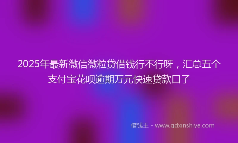 2025年最新微信微粒贷借钱行不行呀，汇总五个支付宝花呗逾期万元快速贷款口子