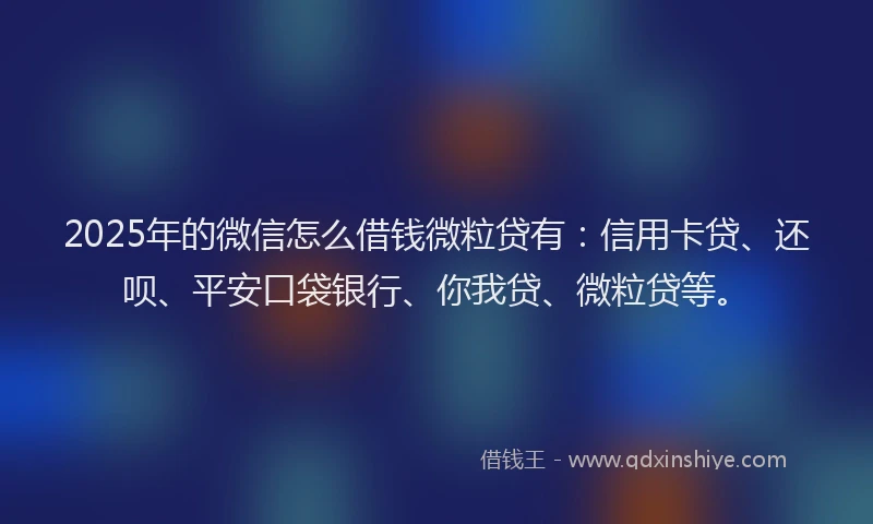 2025年的微信怎么借钱微粒贷有：信用卡贷、还呗、平安口袋银行、你我贷、微粒贷等。