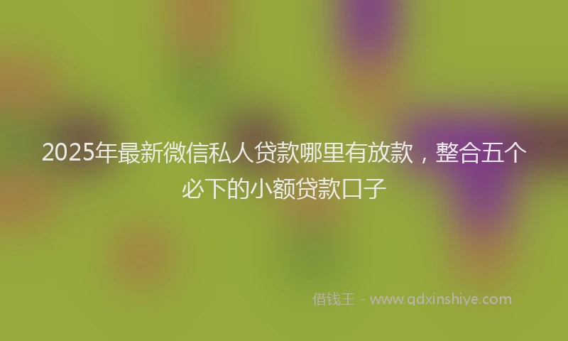 2025年最新微信私人贷款哪里有放款，整合五个必下的小额贷款口子
