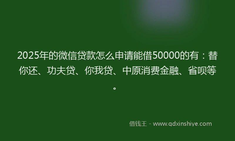 2025年的微信贷款怎么申请能借50000的有：替你还、功夫贷、你我贷、中原消费金融、省呗等。