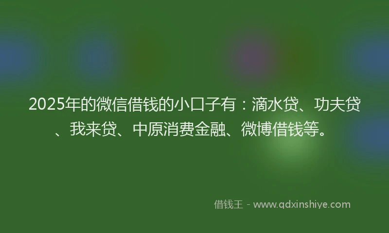2025年的微信借钱的小口子有：滴水贷、功夫贷、我来贷、中原消费金融、微博借钱等。