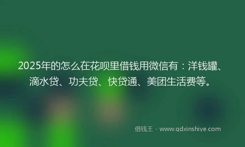 2025年的怎么在花呗里借钱用微信有：洋钱罐、滴水贷、功夫贷、快贷通、美团生活费等。