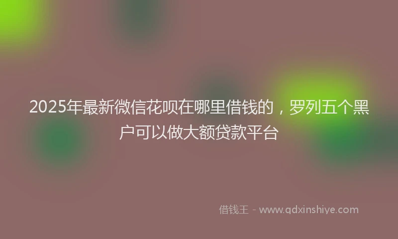 2025年最新微信花呗在哪里借钱的，罗列五个黑户可以做大额贷款平台