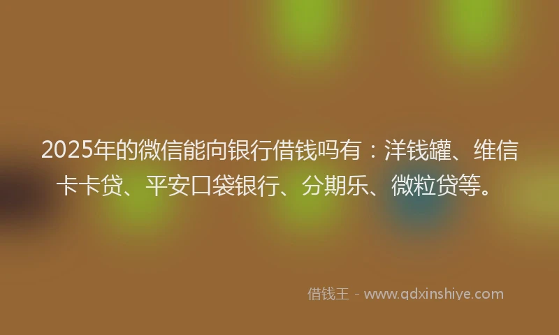 2025年的微信能向银行借钱吗有：洋钱罐、维信卡卡贷、平安口袋银行、分期乐、微粒贷等。