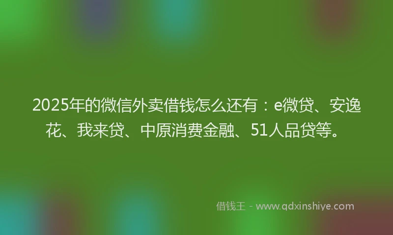 2025年的微信外卖借钱怎么还有：e微贷、安逸花、我来贷、中原消费金融、51人品贷等。