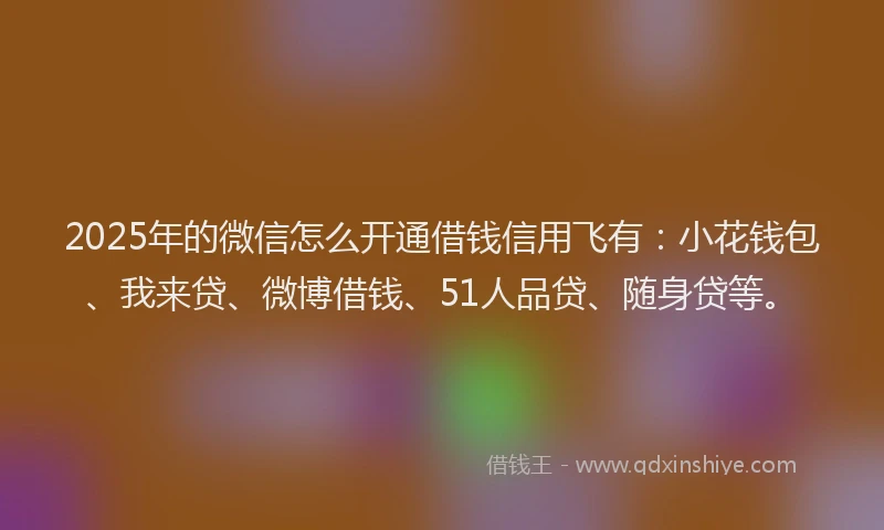 2025年的微信怎么开通借钱信用飞有：小花钱包、我来贷、微博借钱、51人品贷、随身贷等。