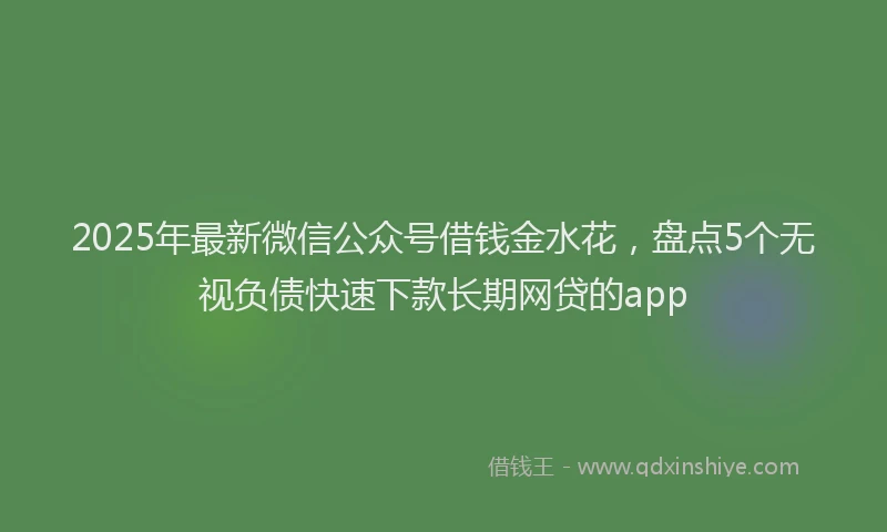 2025年最新微信公众号借钱金水花，盘点5个无视负债快速下款长期网贷的app