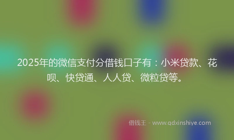 2025年的微信支付分借钱口子有：小米贷款、花呗、快贷通、人人贷、微粒贷等。
