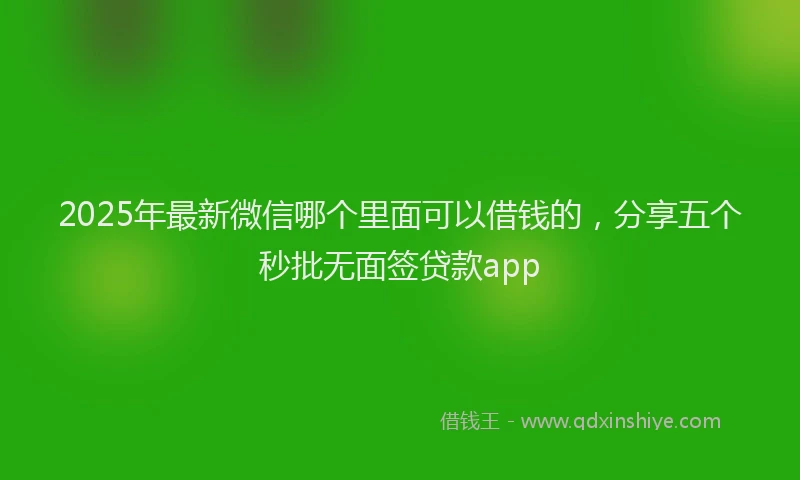 2025年最新微信哪个里面可以借钱的，分享五个秒批无面签贷款app