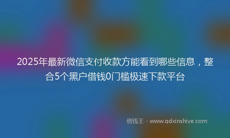 2025年最新微信支付收款方能看到哪些信息，整合5个黑户借钱0门槛极速下款平台