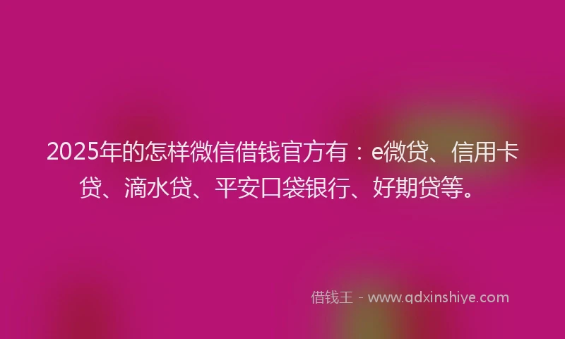 2025年的怎样微信借钱官方有：e微贷、信用卡贷、滴水贷、平安口袋银行、好期贷等。