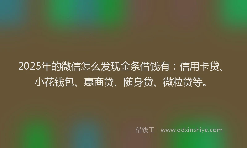 2025年的微信怎么发现金条借钱有：信用卡贷、小花钱包、惠商贷、随身贷、微粒贷等。