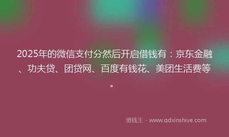2025年的微信支付分然后开启借钱有：京东金融、功夫贷、团贷网、百度有钱花、美团生活费等。