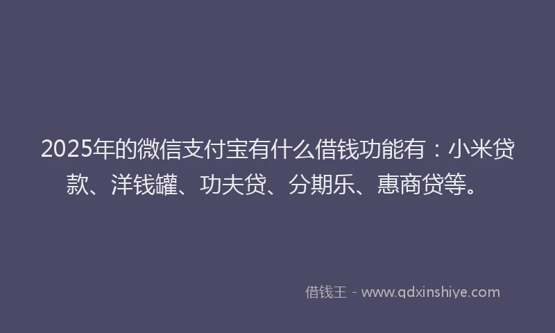 2025年的微信支付宝有什么借钱功能有：小米贷款、洋钱罐、功夫贷、分期乐、惠商贷等。