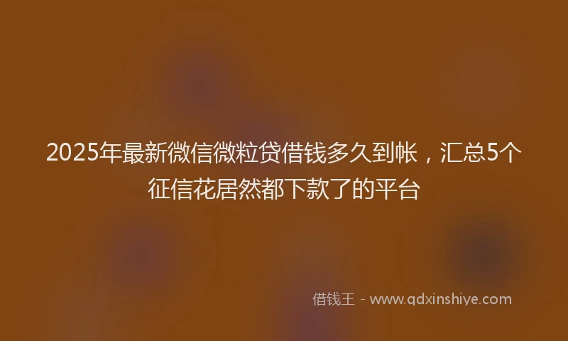 2025年最新微信微粒贷借钱多久到帐，汇总5个征信花居然都下款了的平台