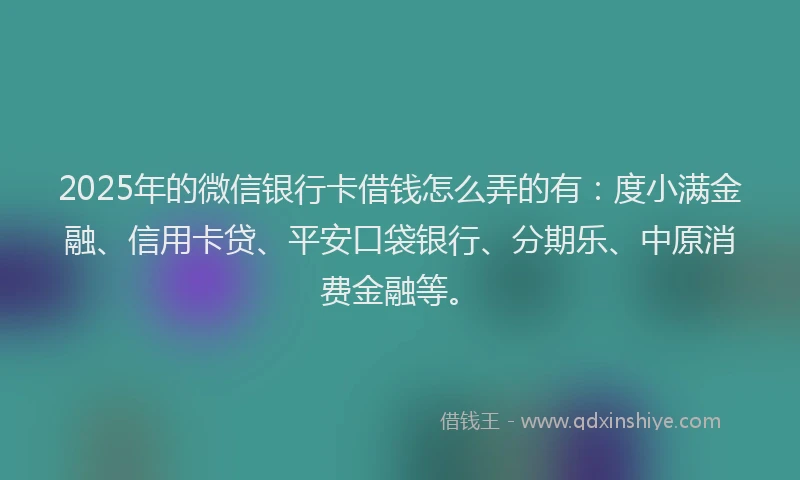 2025年的微信银行卡借钱怎么弄的有：度小满金融、信用卡贷、平安口袋银行、分期乐、中原消费金融等。