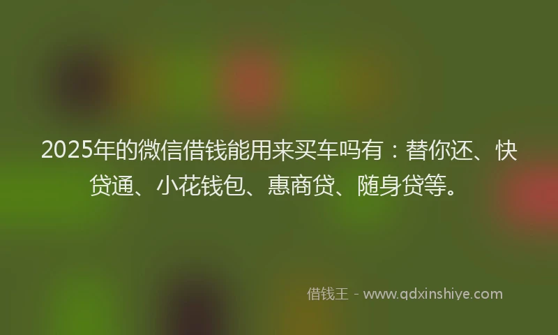 2025年的微信借钱能用来买车吗有：替你还、快贷通、小花钱包、惠商贷、随身贷等。