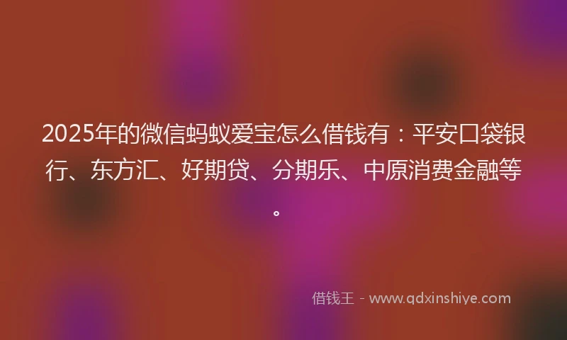 2025年的微信蚂蚁爱宝怎么借钱有：平安口袋银行、东方汇、好期贷、分期乐、中原消费金融等。