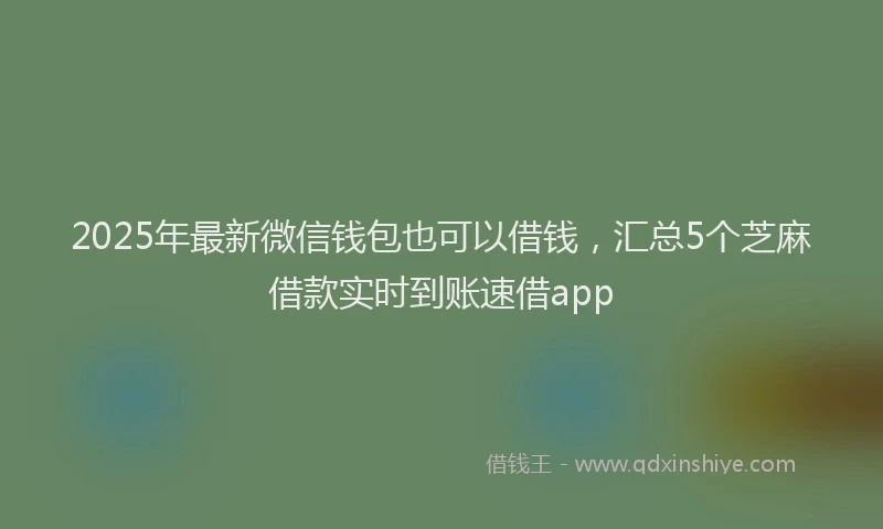 2025年最新微信钱包也可以借钱，汇总5个芝麻借款实时到账速借app