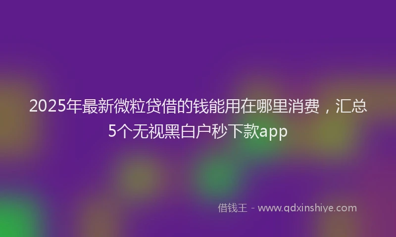 2025年最新微粒贷借的钱能用在哪里消费，汇总5个无视黑白户秒下款app