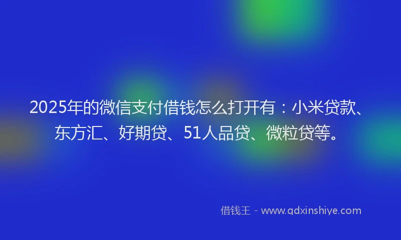 2025年的微信支付借钱怎么打开有：小米贷款、东方汇、好期贷、51人品贷、微粒贷等。