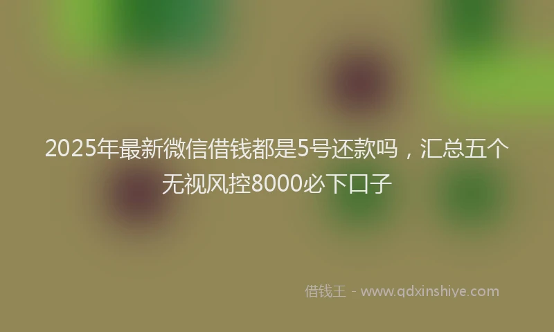 2025年最新微信借钱都是5号还款吗，汇总五个无视风控8000必下口子