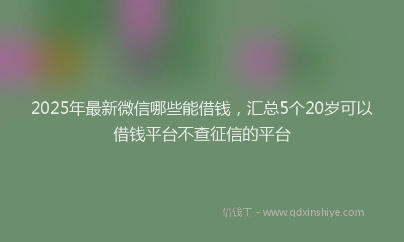 2025年最新微信哪些能借钱，汇总5个20岁可以借钱平台不查征信的平台